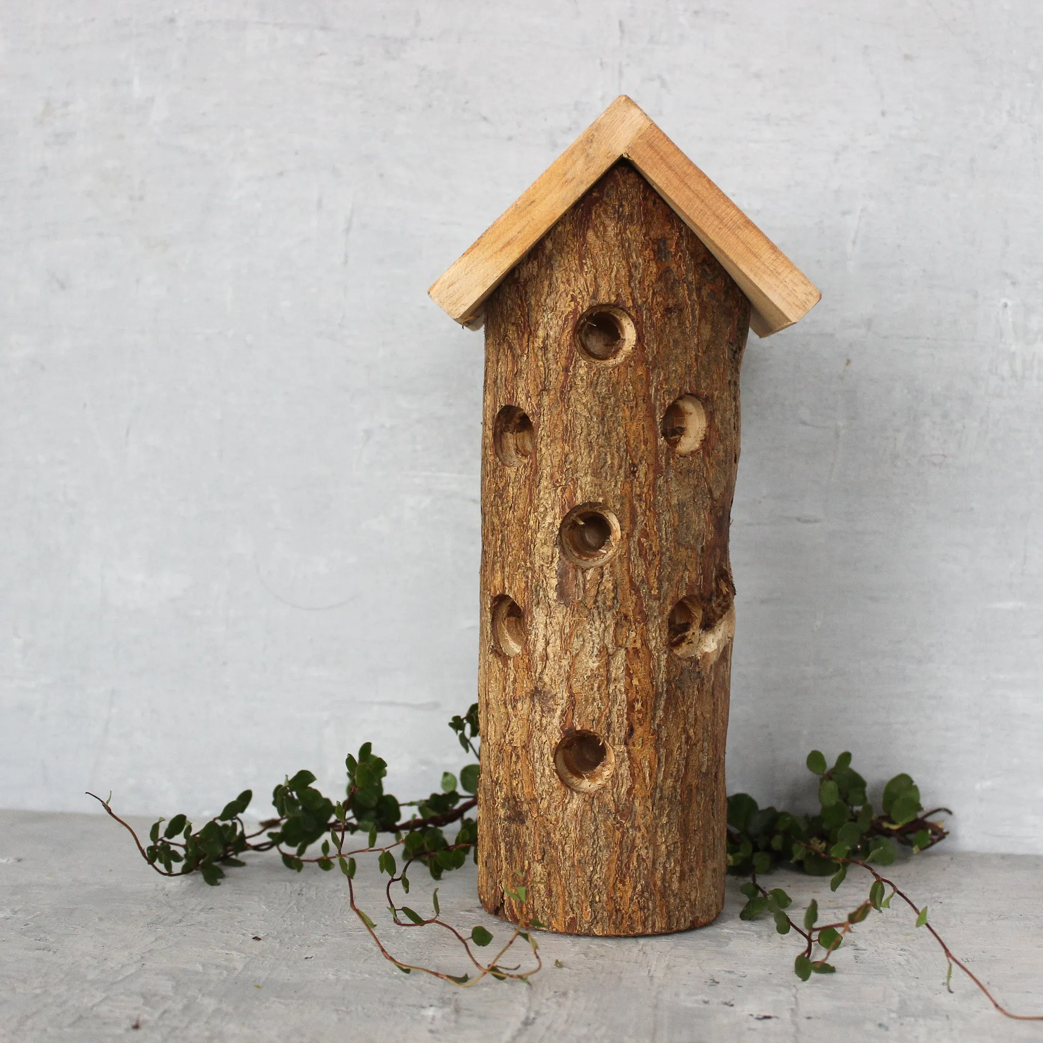 Carved Ladybug House