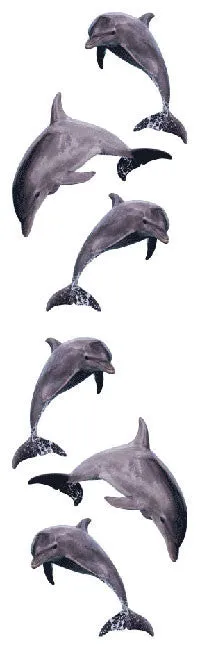 Dolphin Trio Stickers