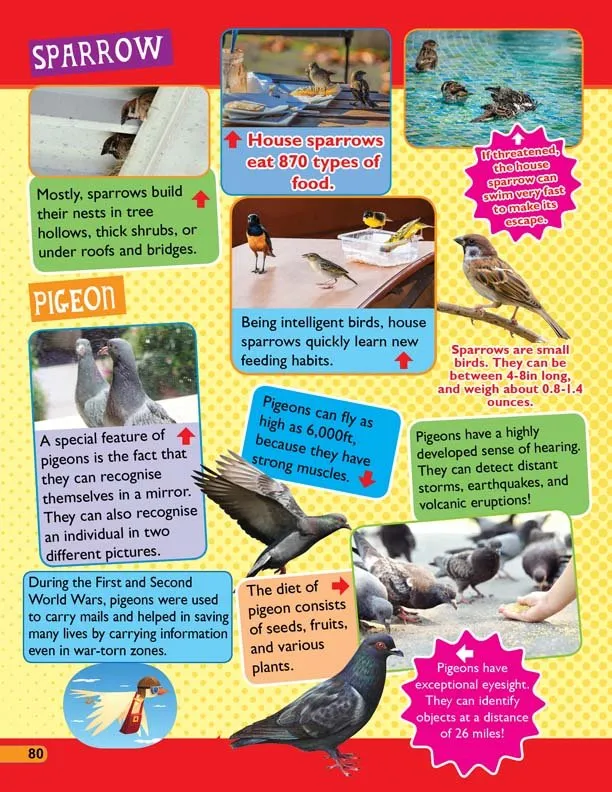 Dreamland Publications 365 Facts On Animals And Birds