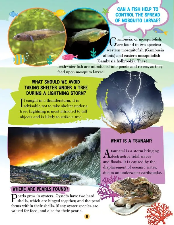 Dreamland Publications Nature Encyclopedia For Children- Questions And Answers