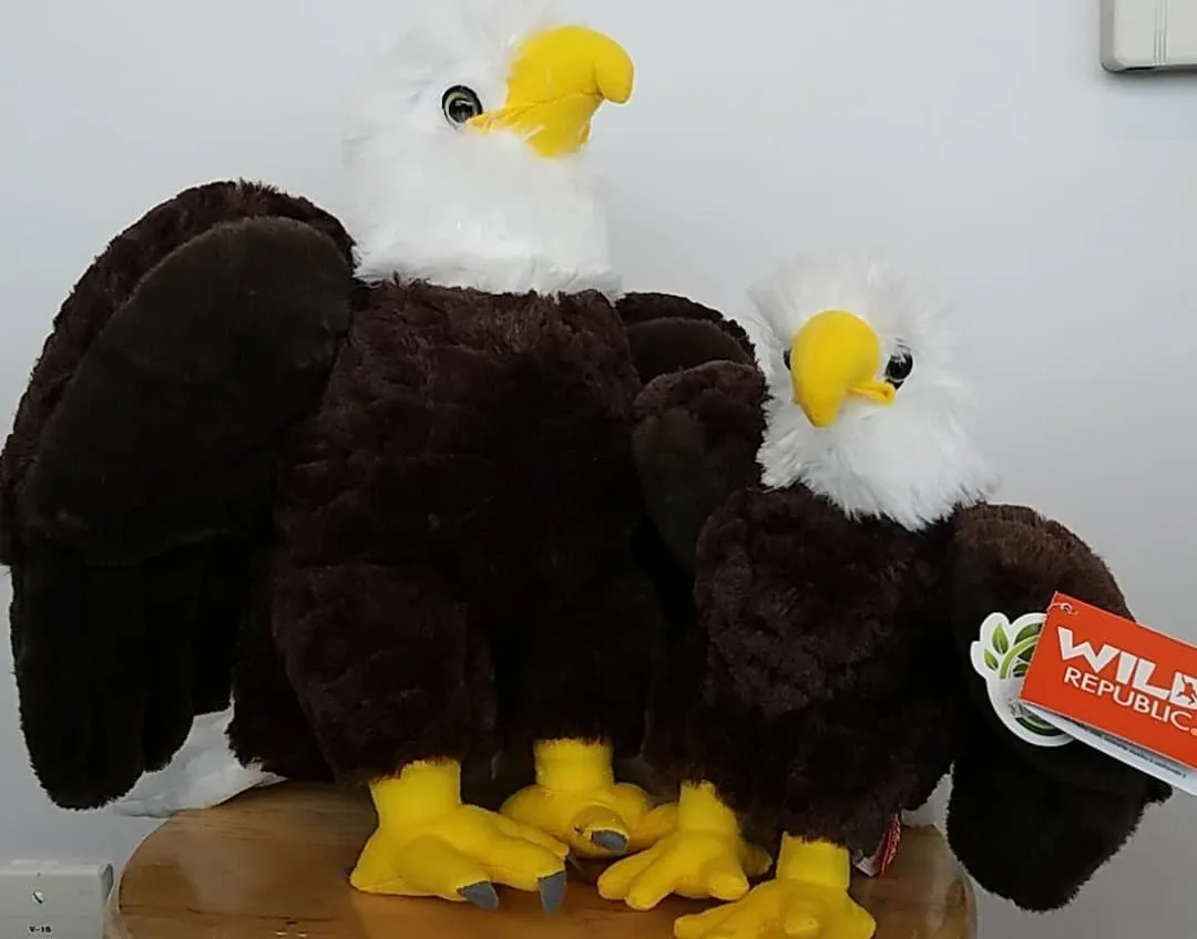 Plush - Bald Eagle