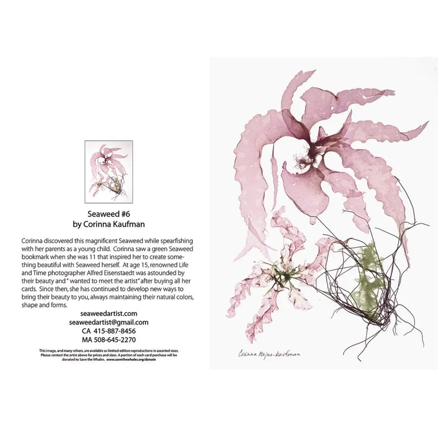 Seaweed Artist - Seaweed Art Greeting Cards Design #6