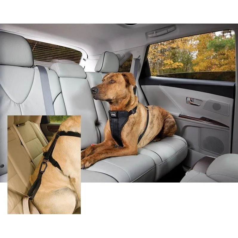 Tru-Fit Smart Dog Seat Belt Harness with Seatbelt Tether